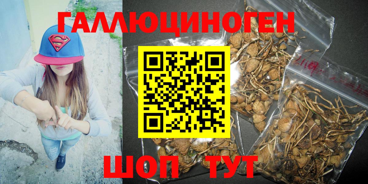 Псилоцибиновые грибы мухоморы Карталы